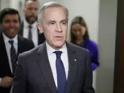 Business Investment Slump Undermines Carney's Economic Revitalization Strategy