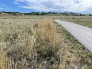 Calgary Councillor Proposes Regional Pathway Network to Airdrie and Cochrane