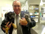 Calgary's 'Bylaw Bill' Passes Away After Illness, Leaves Legacy of Compassionate Enforcement