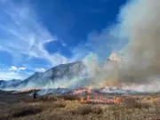 Canada Launches $8M Prescribed Fire Training Program to Combat Wildfires