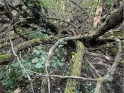 Edmonton Landowner Faces Loss of 30% Property in Wetlands Dispute