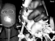 FBI Releases Images of Person of Interest in Nancy Guthrie Kidnapping Case