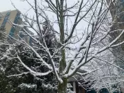 February's Frigid Grip: Barrie Braces for Extended Cold and Snowy Spell