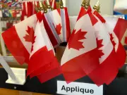 Flags Unlimited in Barrie Celebrates 60 Years of Pride Ahead of Flag Day