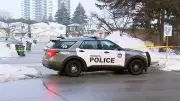 Four Family Members Injured in North York Stabbing; One Suspect in Custody