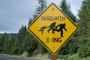 Gambling Blog Calculates Sasquatch Sighting Odds Across North America