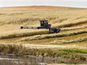 Gary Mar Advocates for New National Agriculture Strategy to Address Infrastructure Gaps