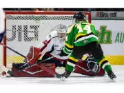 Greentree's Hat-Trick Powers Spitfires' Victory as Coach Walters Hits 400-Game Milestone