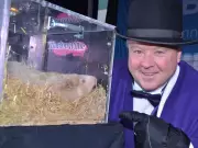 Groundhog Day 2026: Wiarton Willie Predicts Early Spring, Phil Sees More Winter