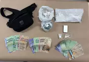 Guelph Police Seize Cocaine and Cash in Major Drug Investigation