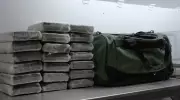 Halton Police Seize $1.5M in Opium and Cocaine in Major GTA Trafficking Bust