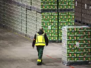 Heineken Announces Major Workforce Reduction Amid Beer Industry Slump