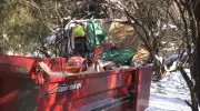 Illegal Tiny Home Dismantled in Guelph Park by City Workers