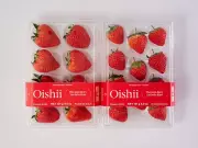 Luxury Japanese Strawberries Arrive in Canada with Premium Price Tag