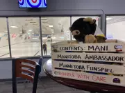 Manitoba Curlers Cross Border for Inaugural Funspiel in Moosomin, Saskatchewan