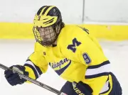 Maple Leafs Prospects Moldenhauer and Haymes Thriving in Development Paths