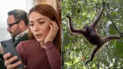 Monkey Branching: The Toxic Dating Trend Experts Warn Destroys Trust