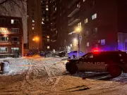 Montreal Police Arrest Suspect Following Plateau-Mont-Royal Shooting Incident