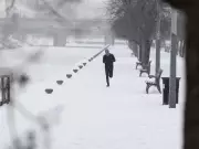 Montreal's Spring Forecast: A Scenic Route with Wild Weather Ahead