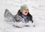 New Canadian Study Raises Alarm: Tobogganing Linked to Significant Head Injury Risk