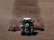 Nova Scotia Agriculture: Economic Impact Rises to $900M Despite Farm Decline