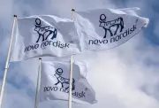 Novo Nordisk Stock Recovers as FDA Cracks Down on Illicit Drug Copies