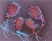 NSCAD Student's Art Exhibit 'It Is What It Is' Honors Brother's Memory