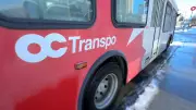 OC Transpo's Most Cancelled Bus Routes Revealed for Early February