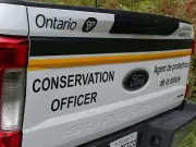 Ottawa-Area Hunters Fined $8,950 for Illegal Moose Hunt at Mer Bleue Bog
