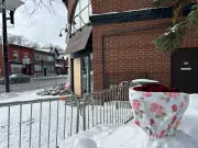 Ottawa Community Mourns After Fatal SUV Collision at Rideau Street Drop-In Centre