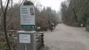 Pacific Spirit Park Off-Leash Trail Changes Spark Controversy Among Vancouver Dog Owners