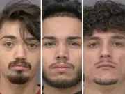 Peel Police Arrest Four in Human Trafficking Case Involving Girls Aged 11-14