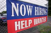 Persistent Youth Unemployment in Canada: Job Searches Lengthen Amid High Rates