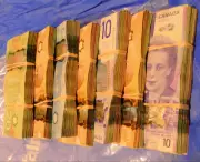 Project 8 Mile Bust: Six GTA Men Charged After Major Drug and Weapons Seizure