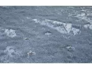 Q2 Metals Elevates Keith Phillips to Executive Chair Amid Cisco Lithium Project Advancement