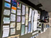 Quebec Police Bust Fake ID Manufacturing Lab, Arrest Two Suspects