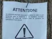 Robin Hood-Style Activists Sabotage Logging Operation in Quebec Forest