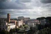 Rome Removes Historic Pine Trees on Colosseum Avenue for Safety and Preservation