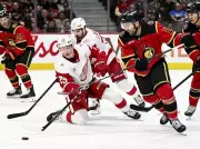 Senators Miss Crucial Point in Overtime Defeat to Red Wings, Playoff Hopes Dim