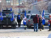 Separatist Petition Drive in U.S. Sparks Outrage and Legal Debate in Alberta