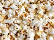 Sydney Man Jailed for Smuggling Reptiles in Popcorn Bags and Biscuit Tins