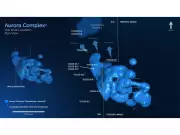 TDG Gold Expands Aurora West Zone and Discovers New Porphyry Target in BC
