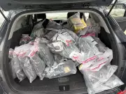 Three Minors Face Nearly 200 Charges in Mississauga Commercial Break-Ins