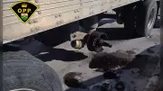 Transport Truck Loses Wheel on Ontario's Highway 401, Causing Safety Concerns
