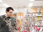 University of Saskatchewan Researcher Aims to Revolutionize Saskatoon Berry Breeding