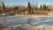 Unseasonable Warmth Disrupts Calgary Winter Events and Raises Environmental Concerns