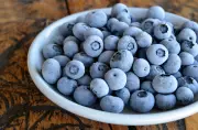 U.S. FDA Issues Recall for Frozen Blueberries in Canada Over Listeria Concerns