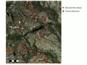 Viridian Metals Confirms Extensive Near-Surface Mineralization at Kraken Main Zone in Labrador