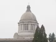 Washington State's Century-Long Tax Battle: Millionaire Levy Faces Legal Hurdles