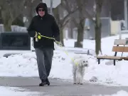 Windsor Achieves Global Environmental Recognition for Third Consecutive Year